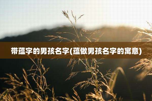 带蕴字的男孩名字(蕴做男孩名字的寓意)