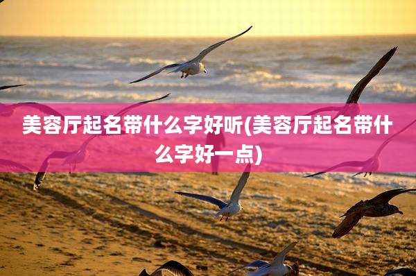 美容厅起名带什么字好听(美容厅起名带什么字好一点)