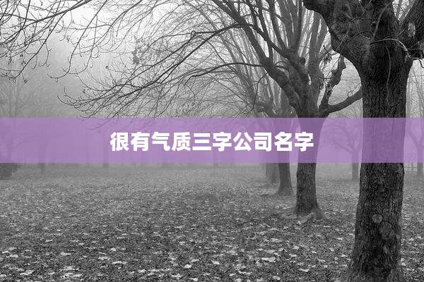 很有气质三字公司名字