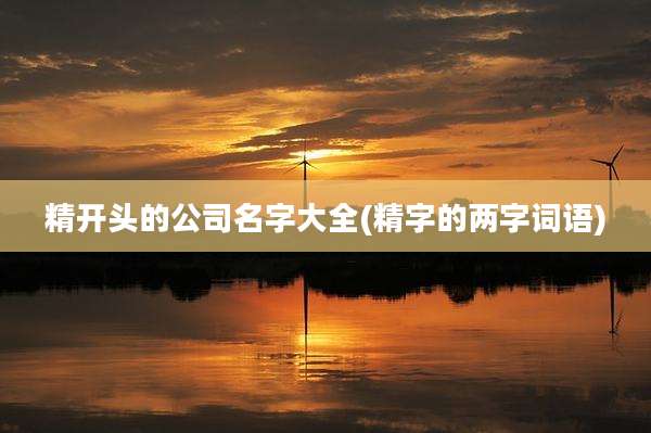 精开头的公司名字大全(精字的两字词语)