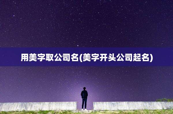 用美字取公司名(美字开头公司起名)
