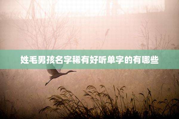 姓毛男孩名字稀有好听单字的有哪些