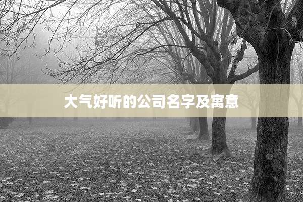 大气好听的公司名字及寓意