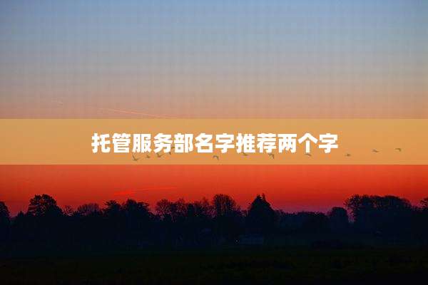 托管服务部名字推荐两个字