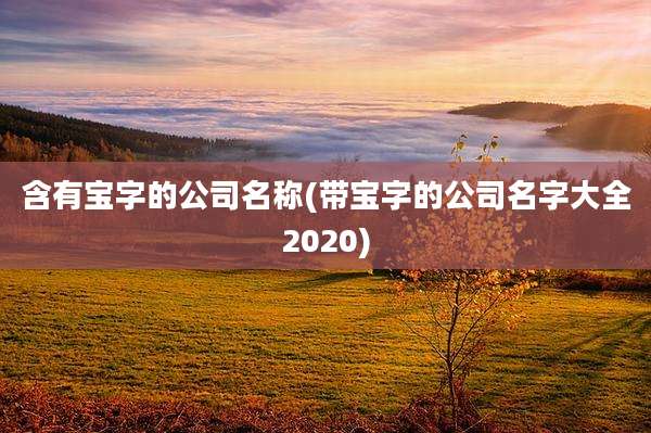 含有宝字的公司名称(带宝字的公司名字大全2020)