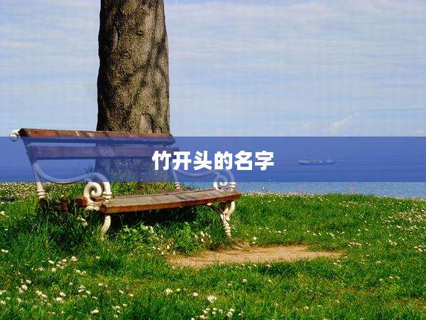 竹开头的名字