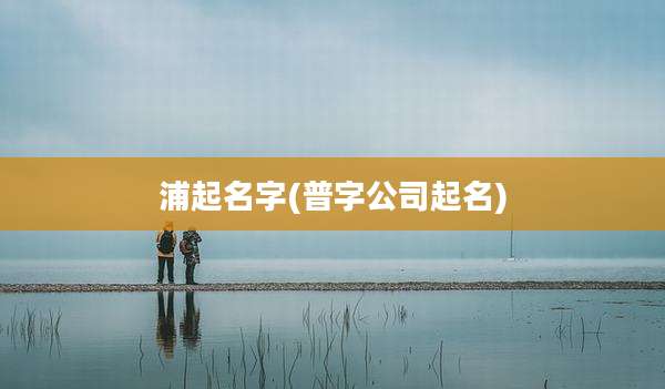 浦起名字(普字公司起名)