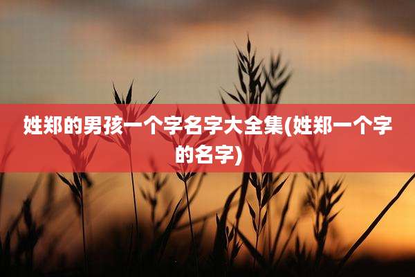 姓郑的男孩一个字名字大全集(姓郑一个字的名字)