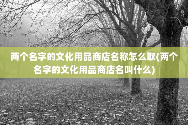 两个名字的文化用品商店名称怎么取(两个名字的文化用品商店名叫什么)