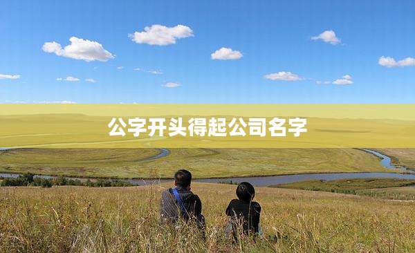 公字开头得起公司名字