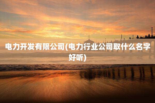 电力开发有限公司(电力行业公司取什么名字好听)