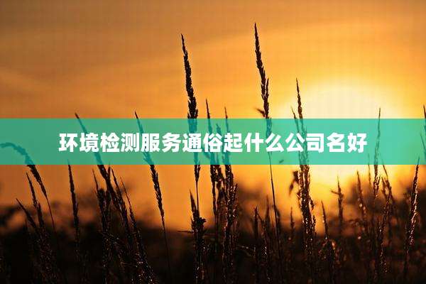 环境检测服务通俗起什么公司名好