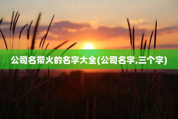 公司名带火的名字大全(公司名字,三个字)