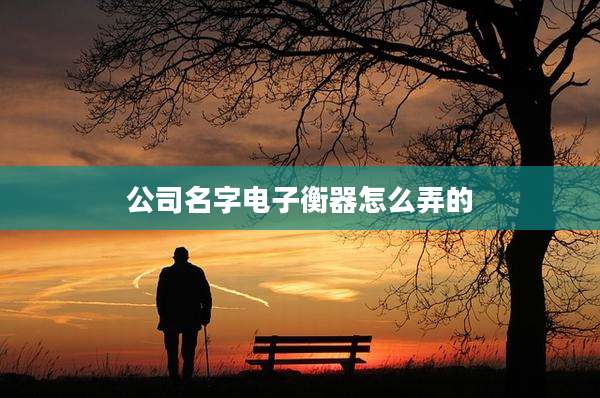 公司名字电子衡器怎么弄的
