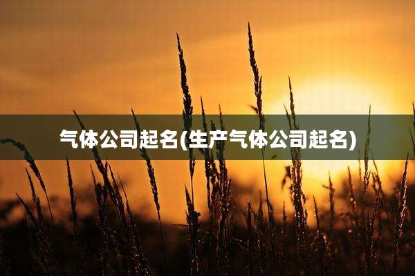 气体公司起名(生产气体公司起名)