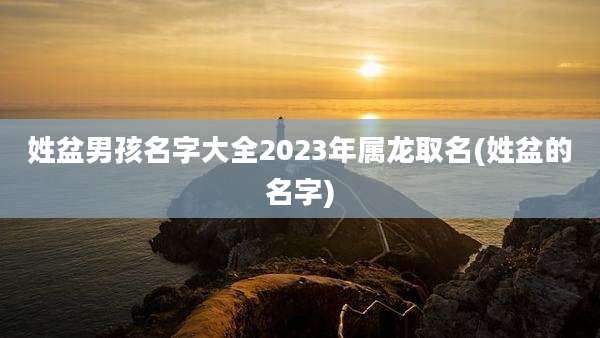 姓盆男孩名字大全2023年属龙取名(姓盆的名字)