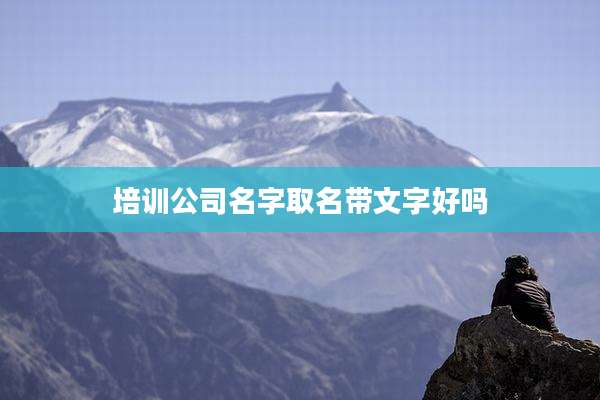 培训公司名字取名带文字好吗