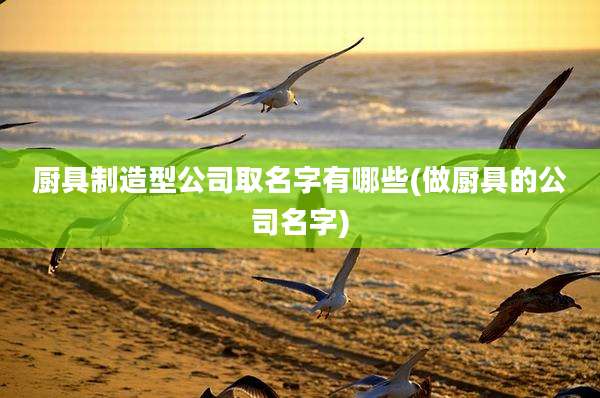 厨具制造型公司取名字有哪些(做厨具的公司名字)