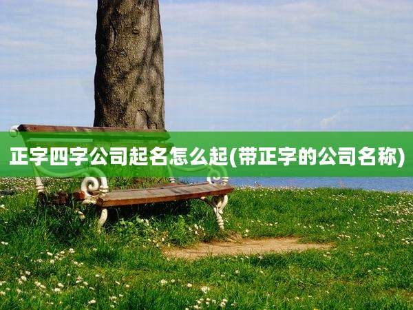 正字四字公司起名怎么起(带正字的公司名称)