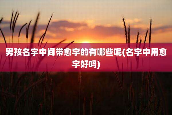 男孩名字中间带愈字的有哪些呢(名字中用愈字好吗)