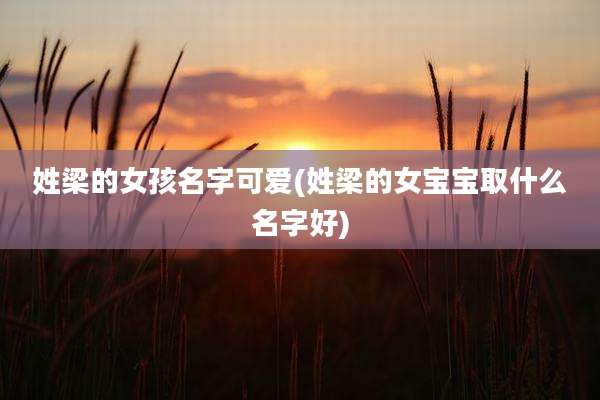 姓梁的女孩名字可爱(姓梁的女宝宝取什么名字好)