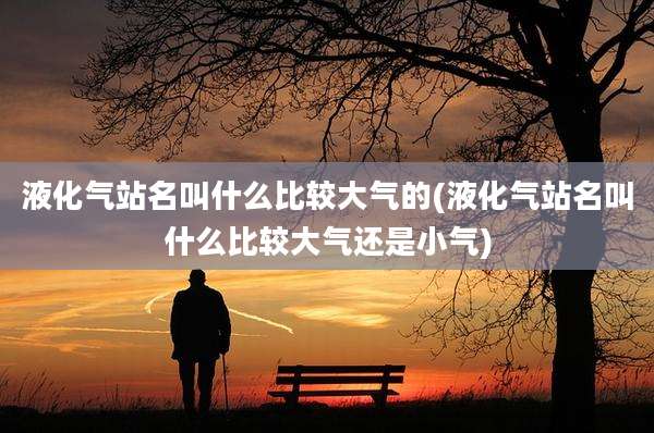 液化气站名叫什么比较大气的(液化气站名叫什么比较大气还是小气)