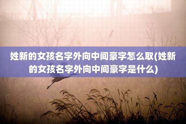 姓新的女孩名字外向中间豪字怎么取(姓新的女孩名字外向中间豪字是什么)
