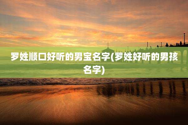 罗姓顺口好听的男宝名字(罗姓好听的男孩名字)