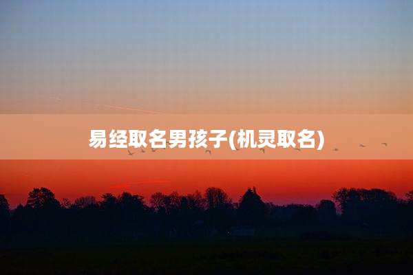 易经取名男孩子(机灵取名)
