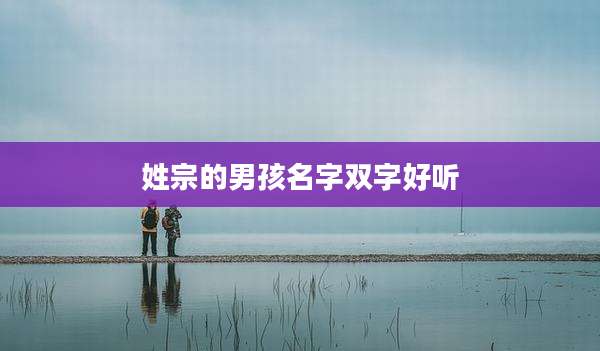姓宗的男孩名字双字好听