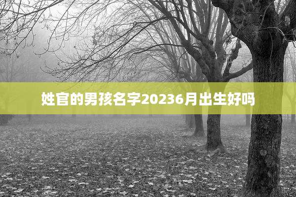 姓官的男孩名字20236月出生好吗