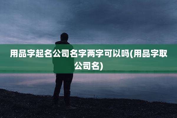 用品字起名公司名字两字可以吗(用品字取公司名)