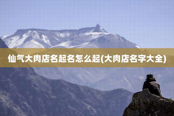 仙气大肉店名起名怎么起(大肉店名字大全)