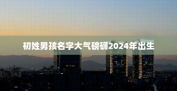 初姓男孩名字大气磅礴2024年出生