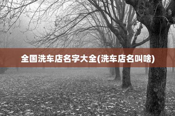 全国洗车店名字大全(洗车店名叫啥)