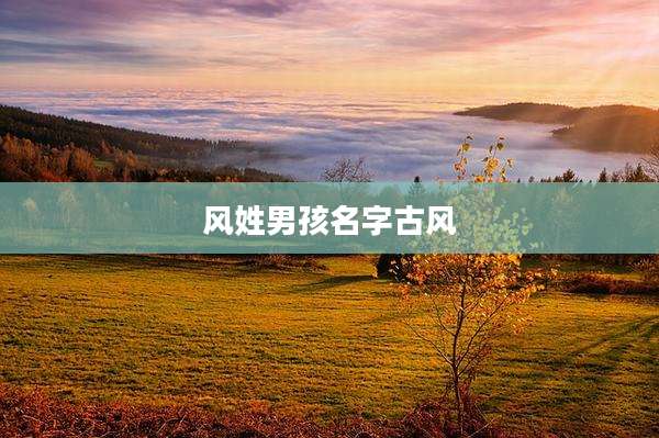 风姓男孩名字古风