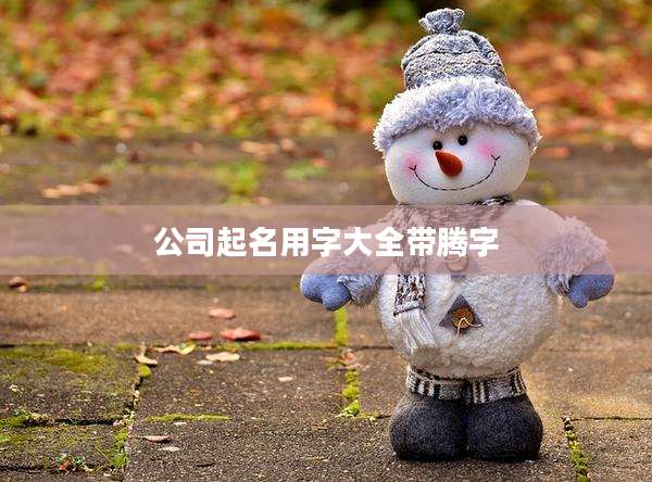 公司起名用字大全带腾字