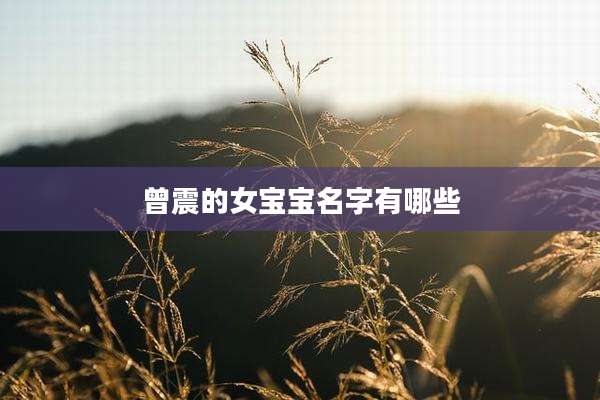 曾震的女宝宝名字有哪些