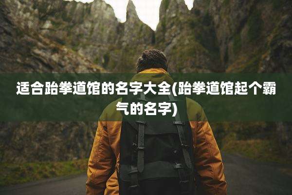适合跆拳道馆的名字大全(跆拳道馆起个霸气的名字)