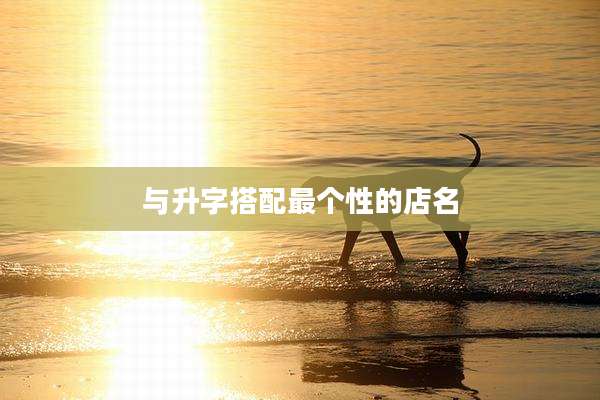与升字搭配最个性的店名