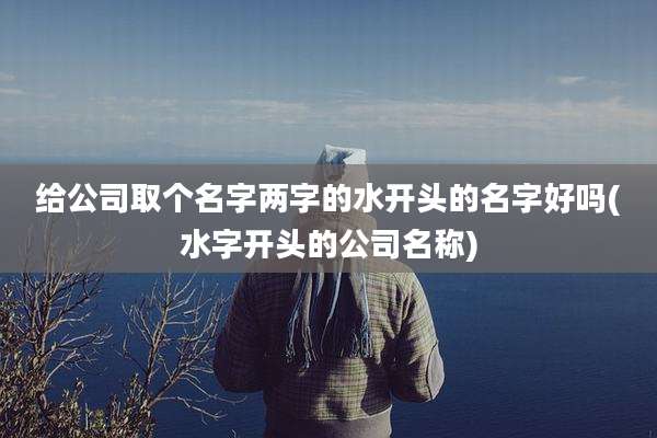 给公司取个名字两字的水开头的名字好吗(水字开头的公司名称)