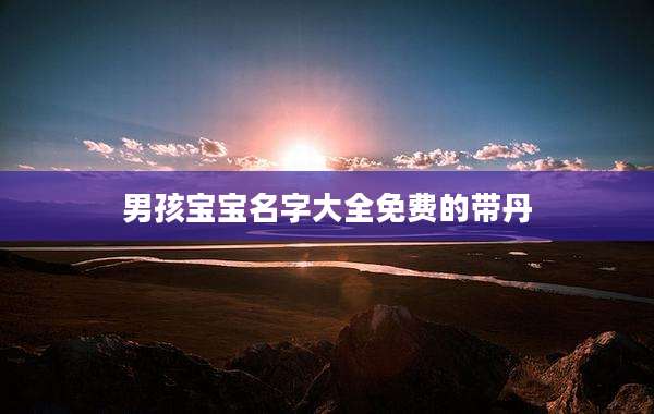 男孩宝宝名字大全免费的带丹