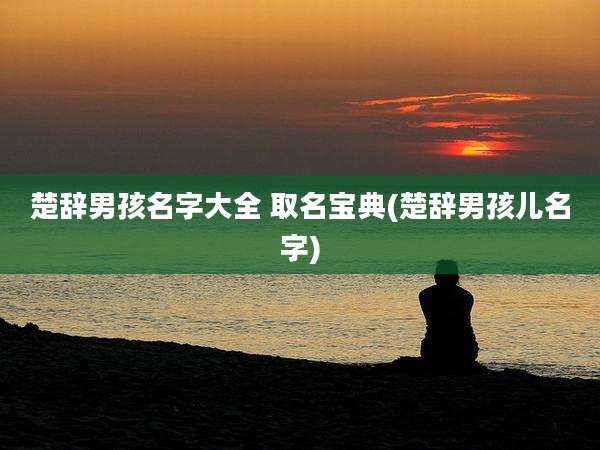 楚辞男孩名字大全 取名宝典(楚辞男孩儿名字)