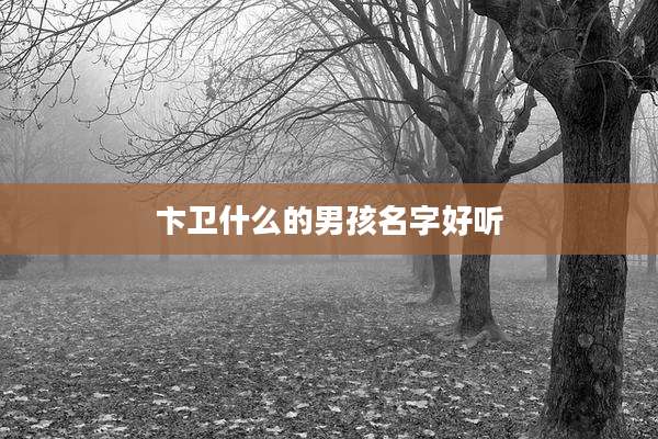 卞卫什么的男孩名字好听