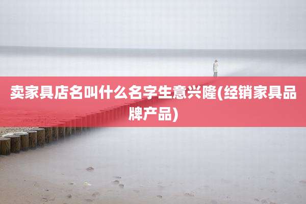 卖家具店名叫什么名字生意兴隆(经销家具品牌产品)