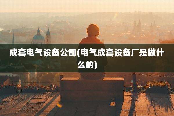 成套电气设备公司(电气成套设备厂是做什么的)