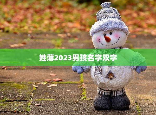 姓薄2023男孩名字双字