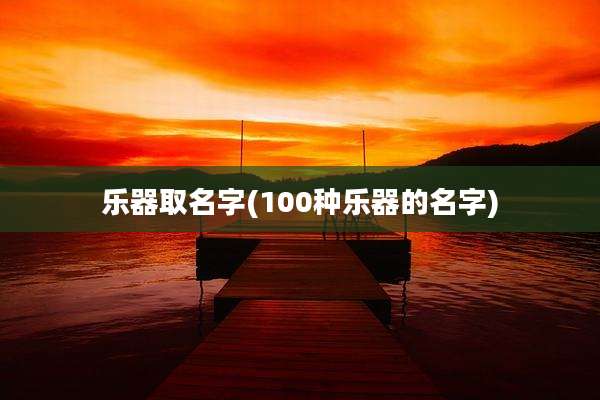 乐器取名字(100种乐器的名字)