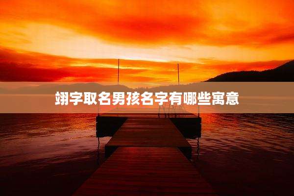 翊字取名男孩名字有哪些寓意