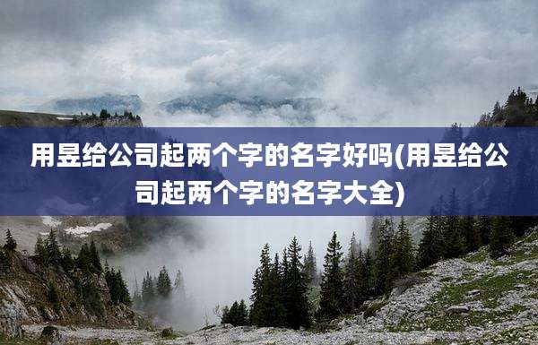 用昱给公司起两个字的名字好吗(用昱给公司起两个字的名字大全)